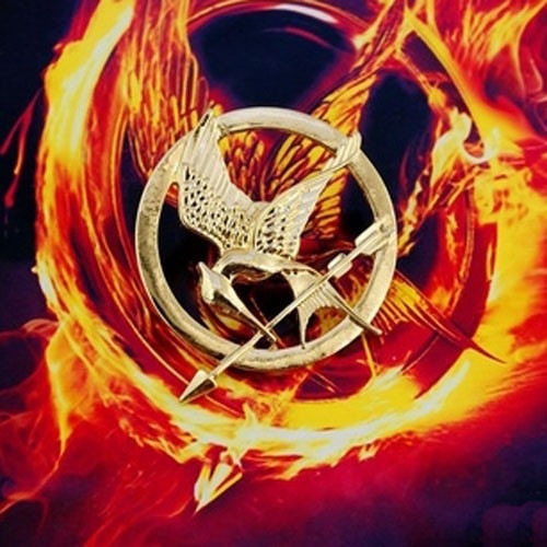 Bros Burung The Hunger Games P - Party Games Popular ulasan dan harga